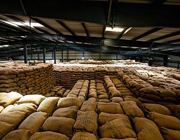 Raw-Material-Warehouse