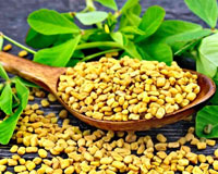 Fenugreek-Seeds