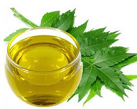neem-oil