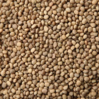 step-2-guar-seeds